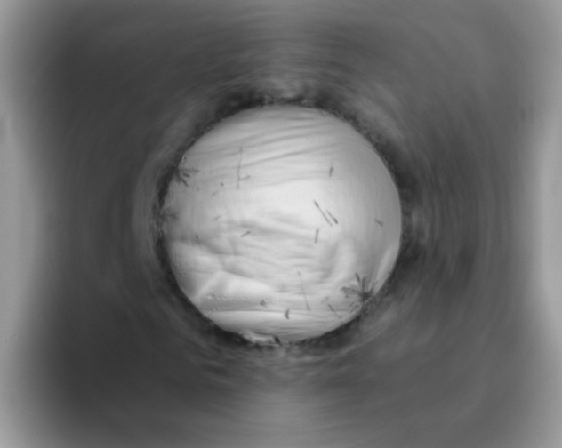 X0000095920961200802081110