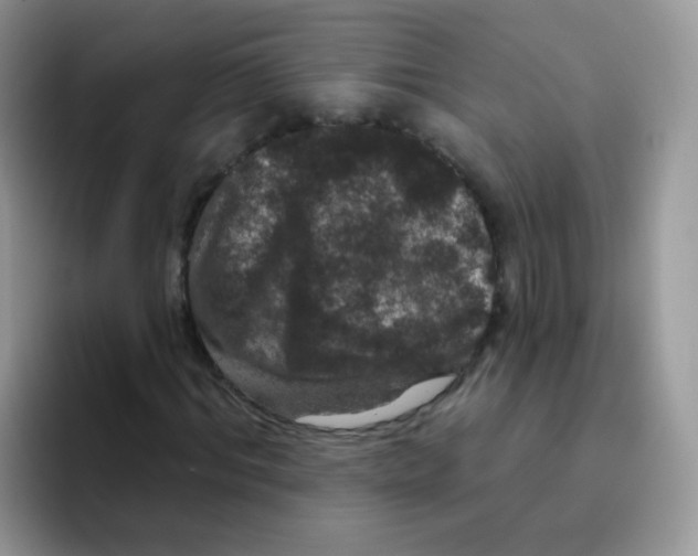 X0000095920964200802081110