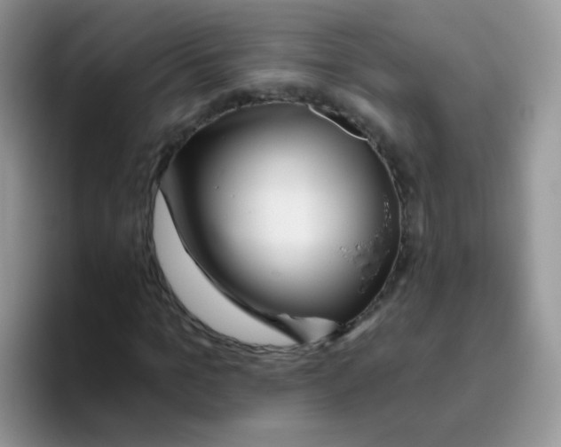 X0000095920965200802081110