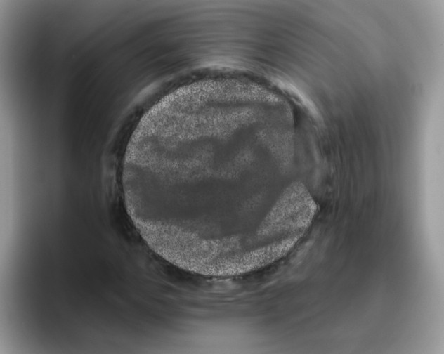 X0000095920968200802081110