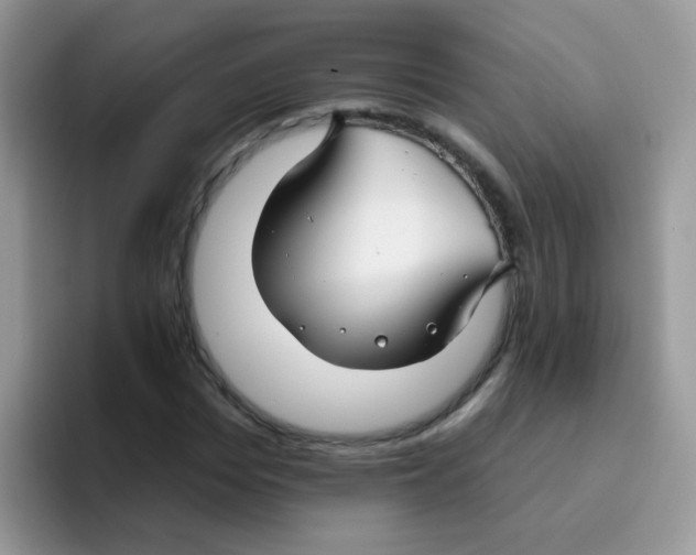 X0000095920969200802081110