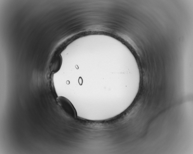 X0000095920971200802081110