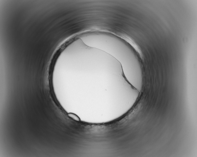 X0000095920972200802081110