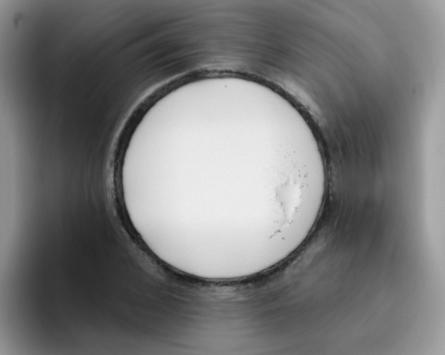 X0000095920976200802081110