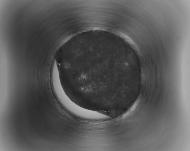 X0000095920977200802081110