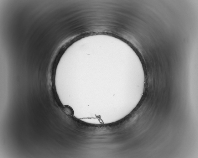 X0000095920979200802081110