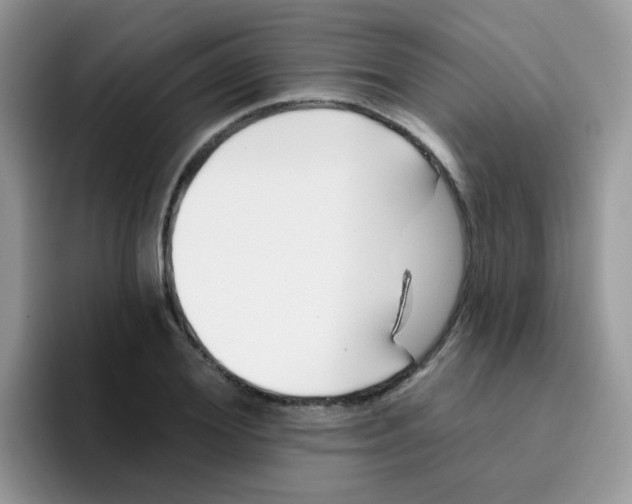 X0000095920980200802081110