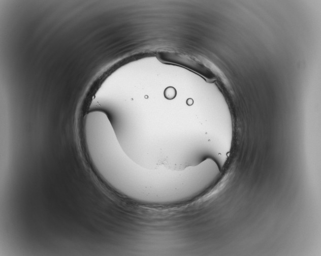 X0000095920981200802081110