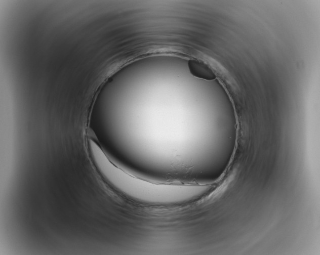 X0000095920985200802081110