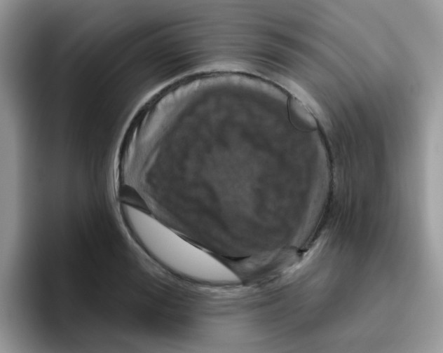 X0000095920988200802081110