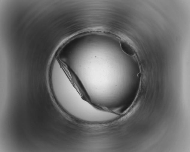 X0000095920989200802081110