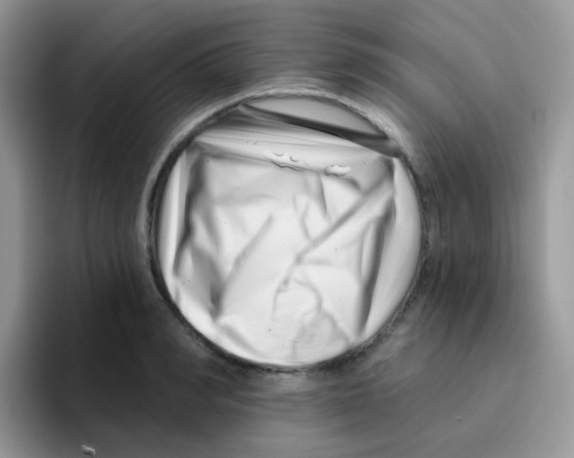 X0000095920990200802081110