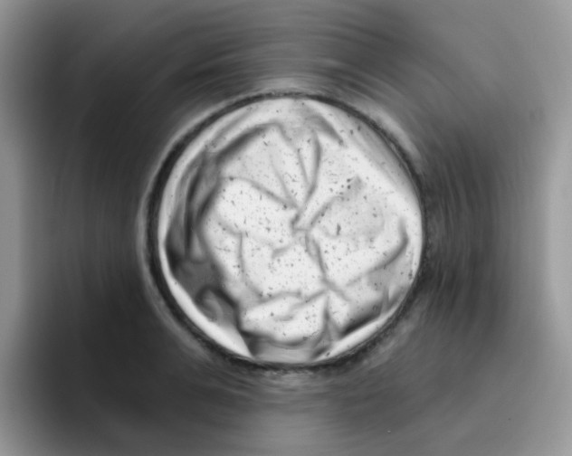 X0000095920991200802081110