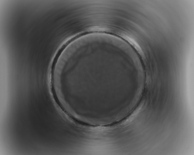 X0000095920992200802081110