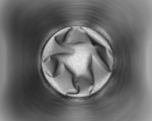 X0000095920994200802081109