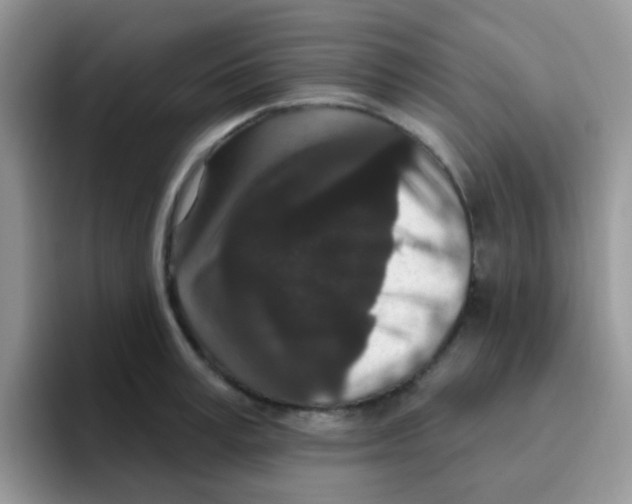 X0000095920995200802081109