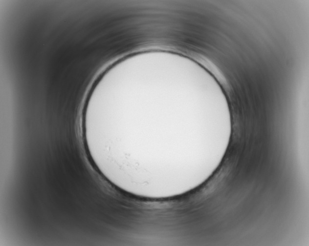 X0000095920996200802081109