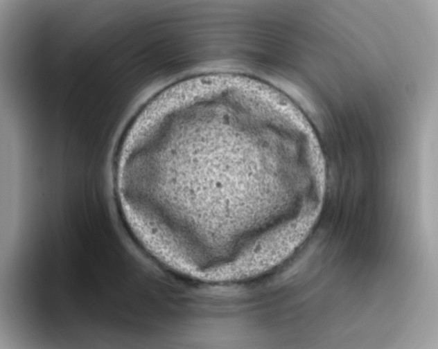 X0000095920998200802081109