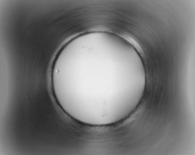 X0000095921000200802081109