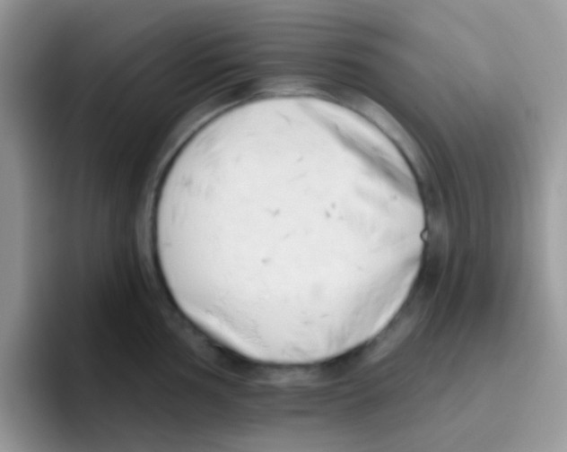 X0000095921002200802081109