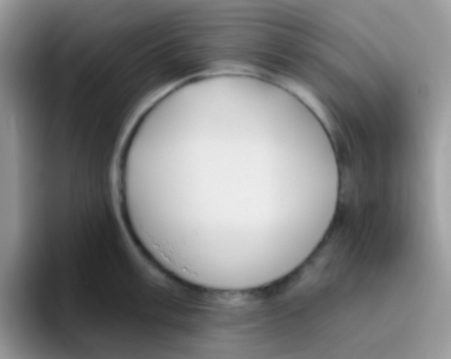 X0000095921003200802081109