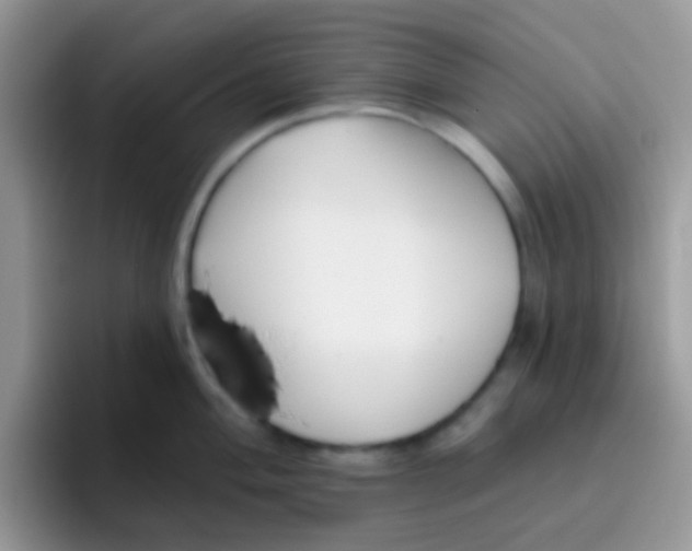 X0000095921004200802081109