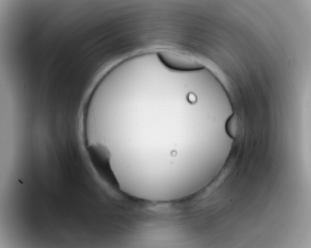 X0000095921006200802081109