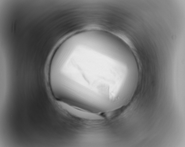 X0000095921008200802081109