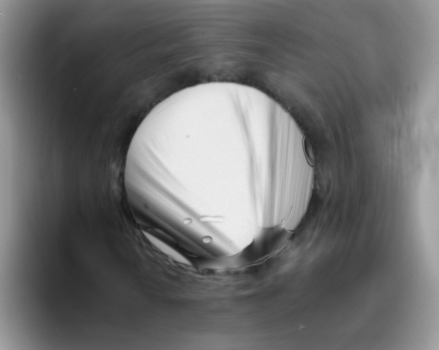 X0000095921010200802081109