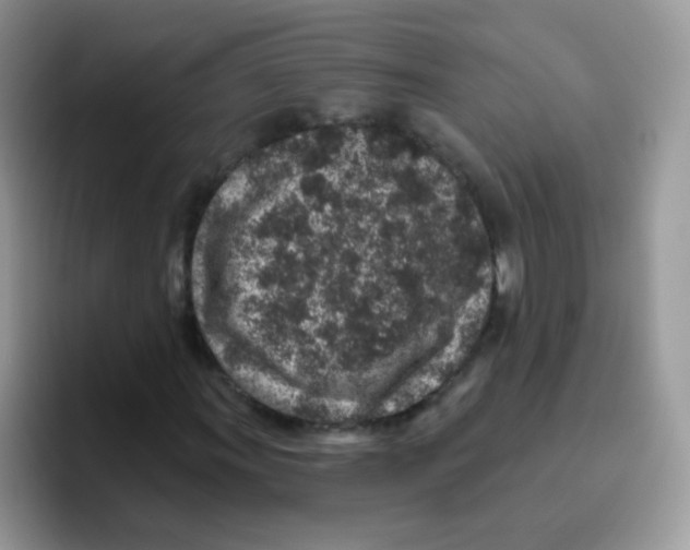 X0000095921011200802081109