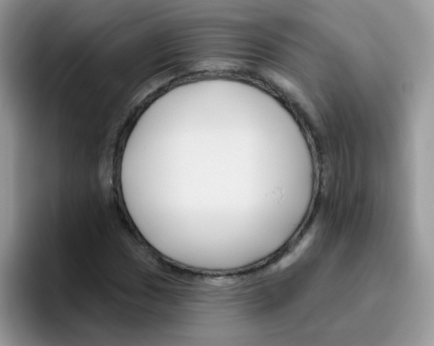 X0000095921017200802081109