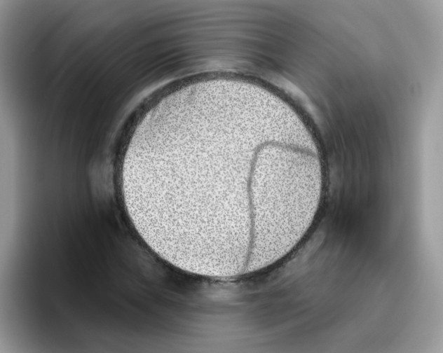 X0000095921019200802081109