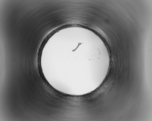 X0000095921020200802081109