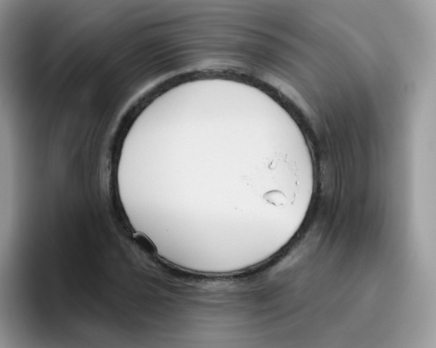 X0000095921021200802081109