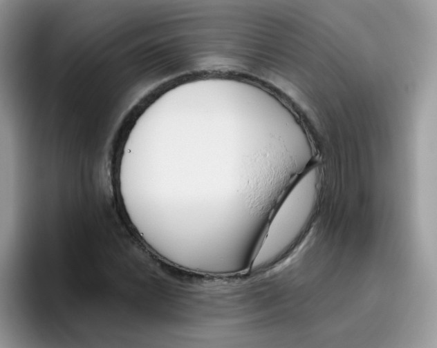 X0000095921022200802081109