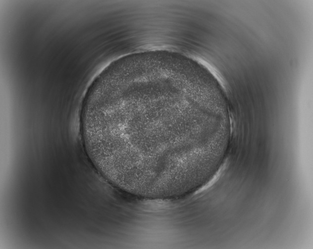 X0000095921023200802081109