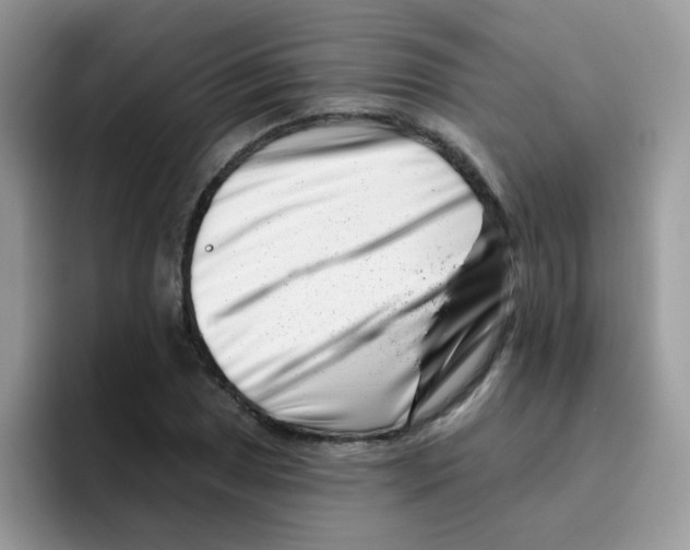 X0000095921025200802081109