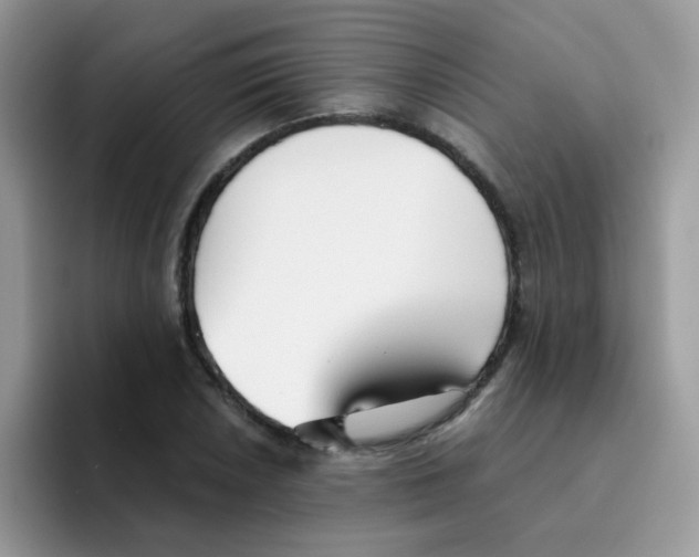 X0000095921026200802081109