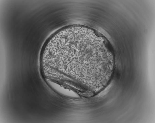 X0000095921028200802081109