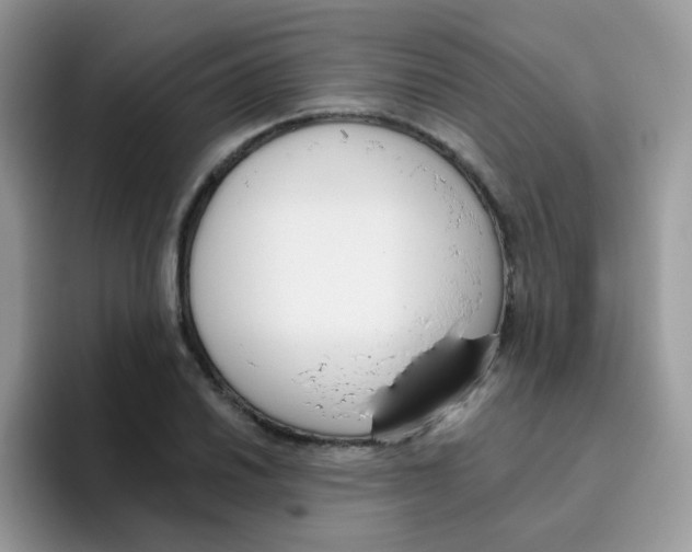 X0000095921030200802081109