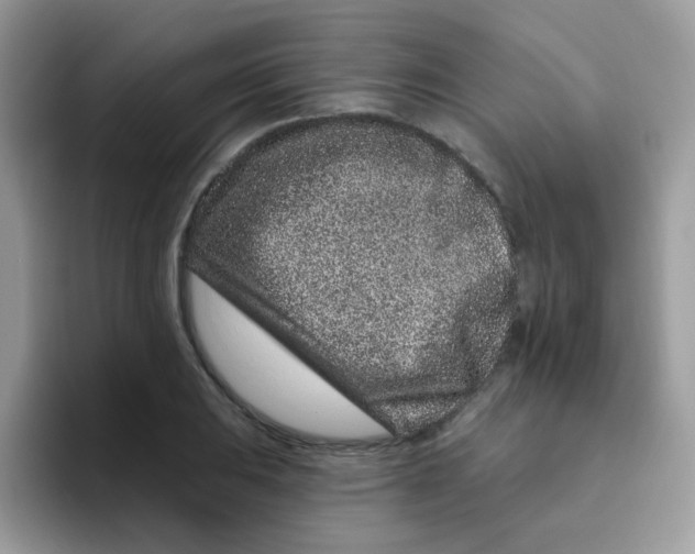 X0000095921031200802081109