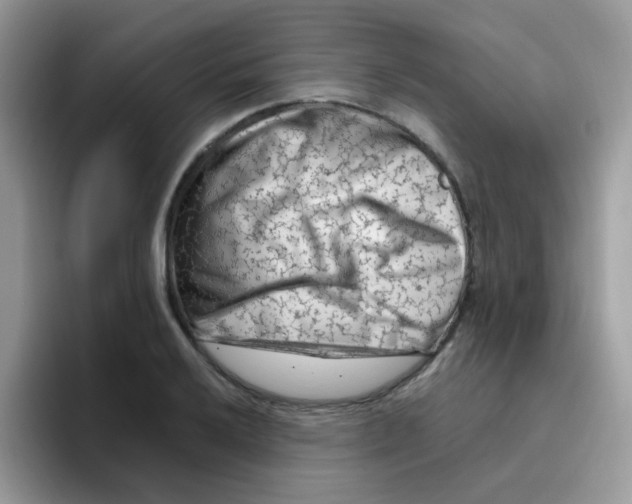 X0000095921032200802081109