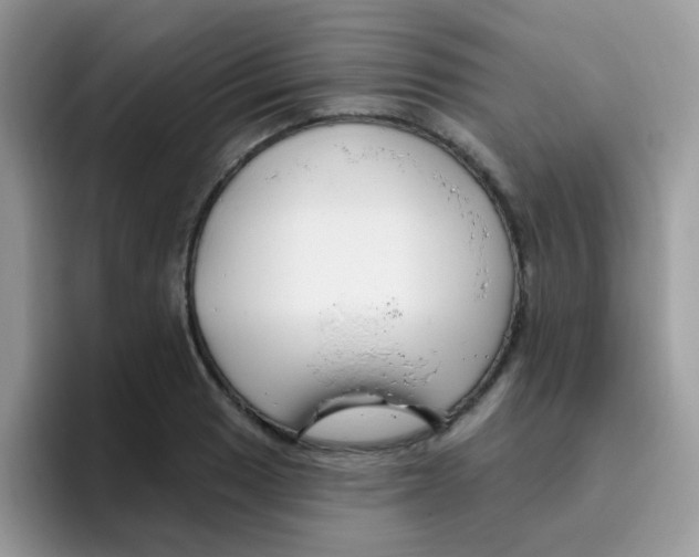 X0000095921033200802081109