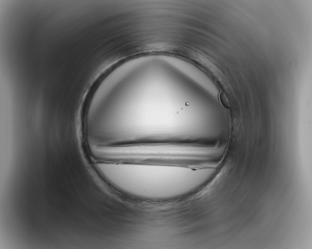 X0000095921034200802081109