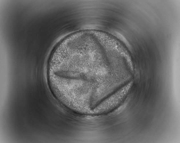 X0000095921035200802081109