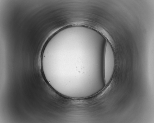 X0000095921036200802081109