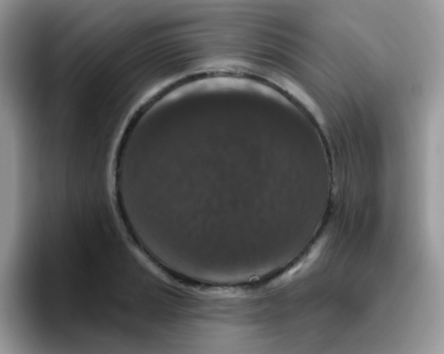 X0000095921037200802081109