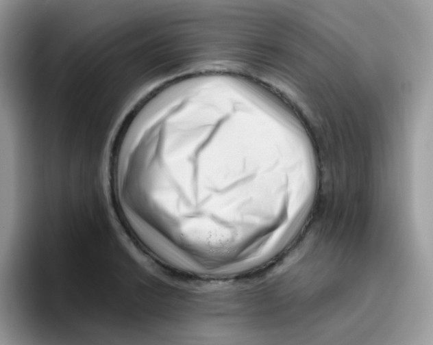 X0000095921038200802081109