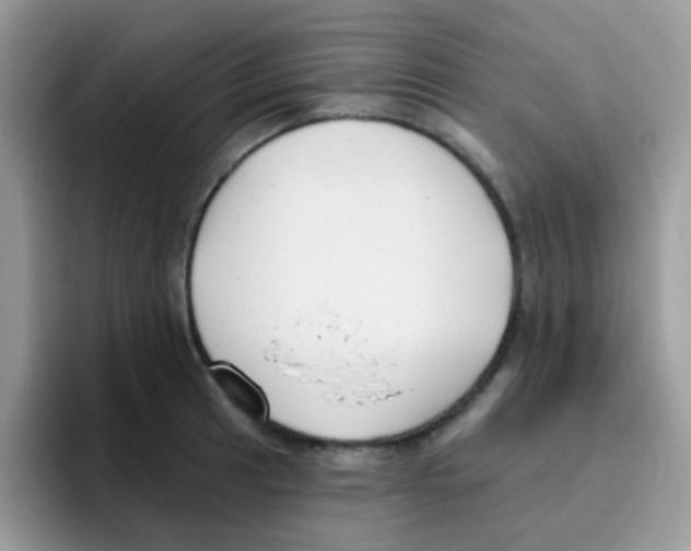 X0000095921041200802081109