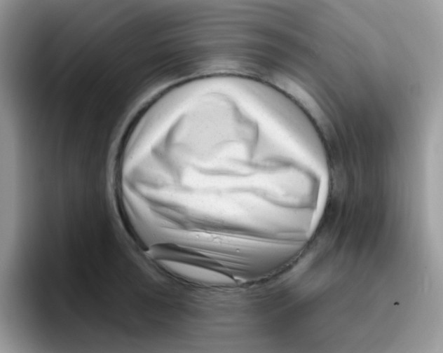 X0000095921043200802081109